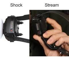 Image of Hasan holding the collar next to an image of a 'Shock Collar'
