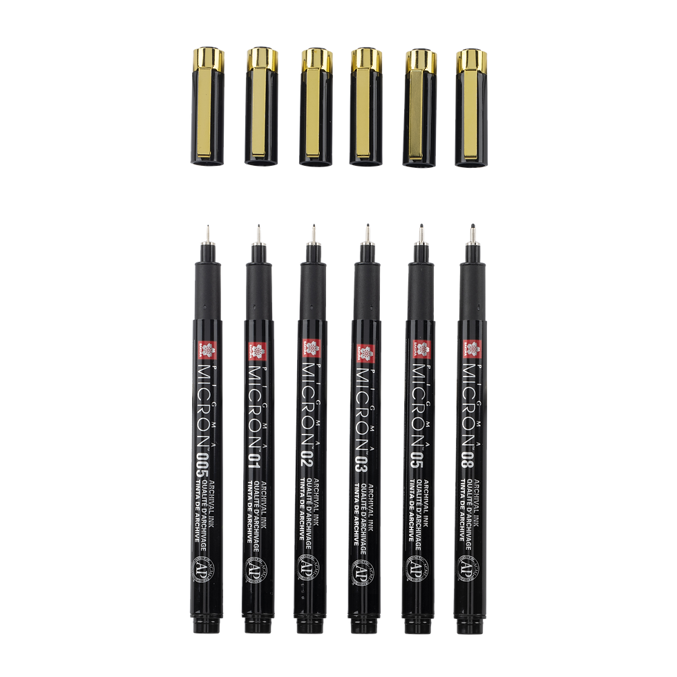 Set Sakura Pigma Micron nero e oro 005 /01 / 02 / 03 / 05 / 08