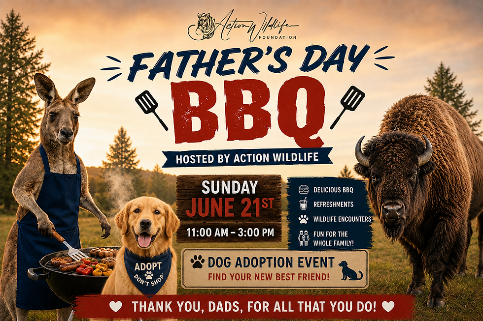 Fathers Day BBQ