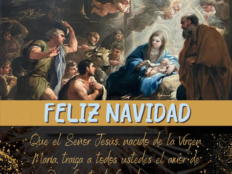 Les deseamos Feliz Navidad