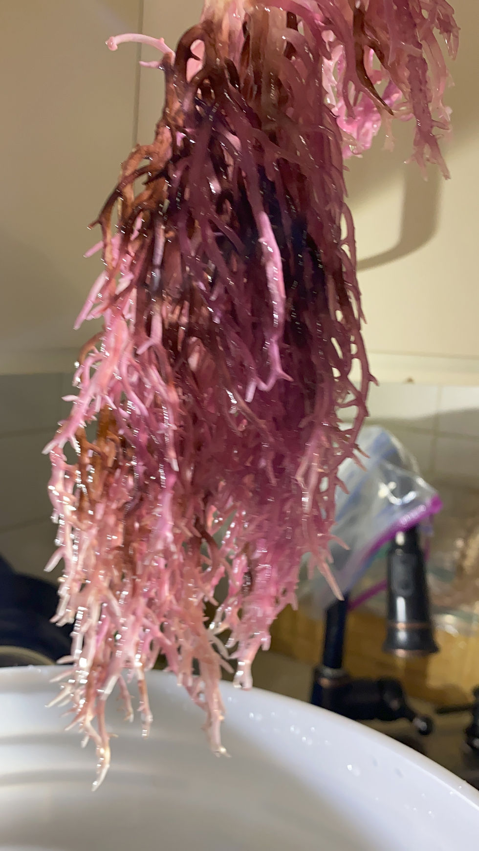 Thumbnail: Wildcrafted Purple Sea Moss Gel