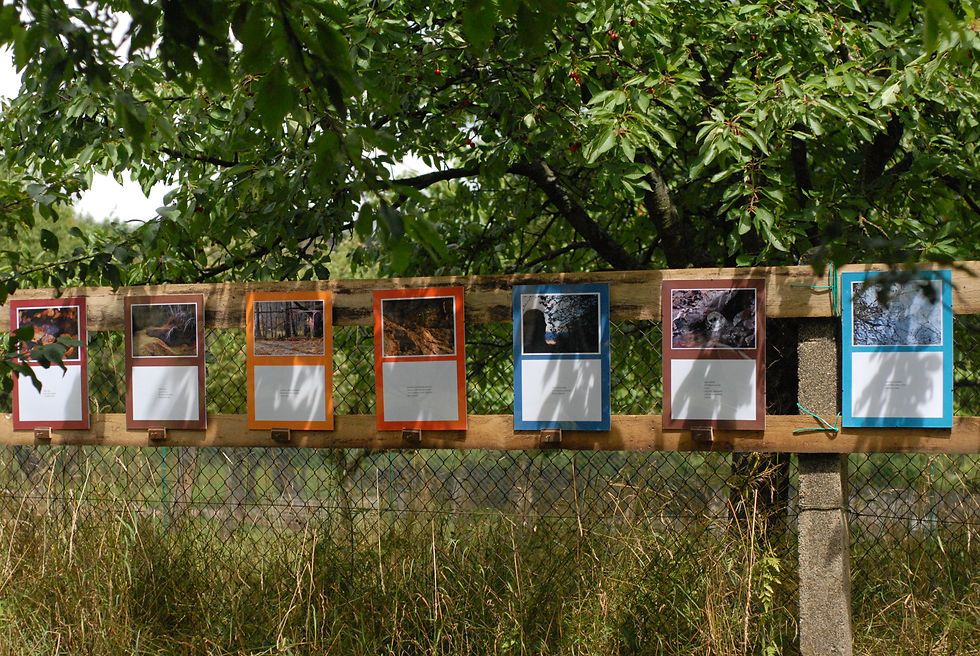 Zahradní výstava 16. 7. 2016