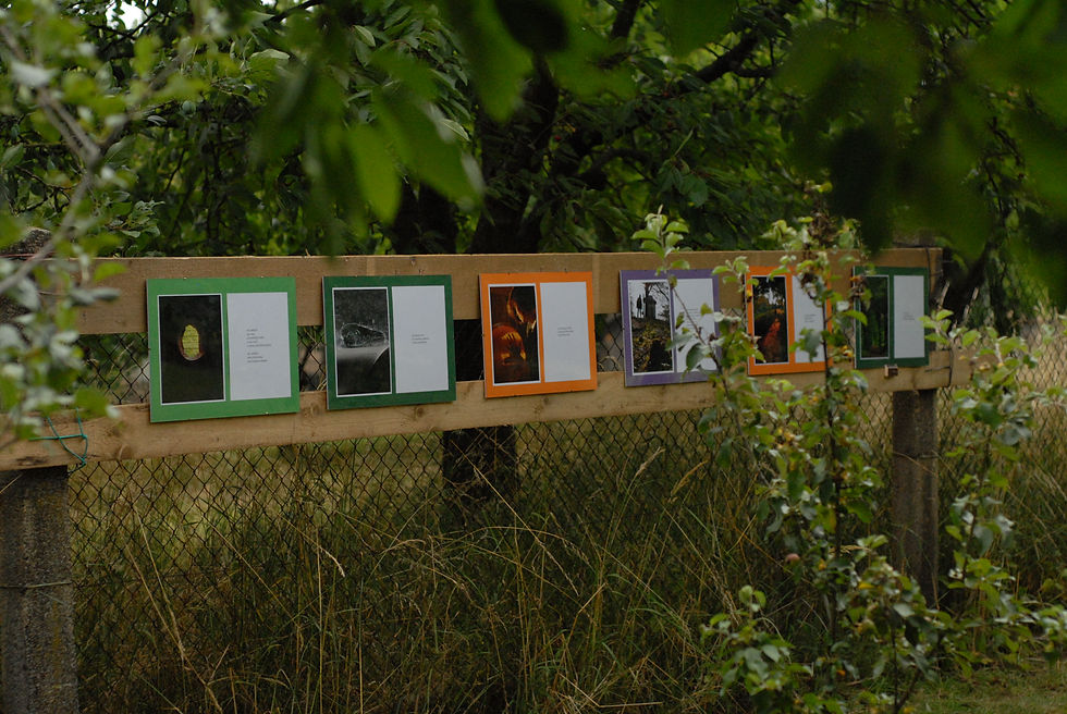 Zahradní výstava 16. 7. 2016