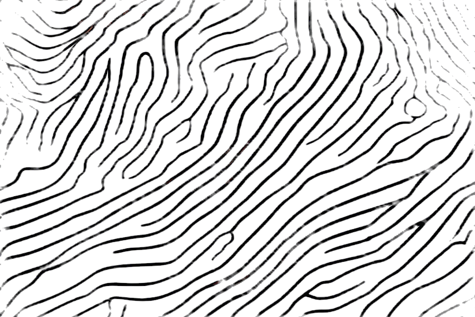 topographic patterns clear background black lines.jpg