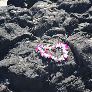 Aloha from Hawaii: 2019