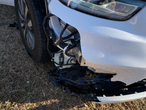 An Honest (Adult) Review of Walt Disney World