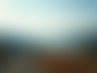 Your Guide to Traveling Like a Tar Heel-Caniac