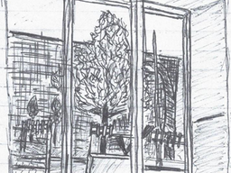 Sick in Iran. My hospital stay in Bam, Iran