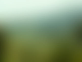 Busstories 7: A Missed Opportunity