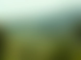 Busgeschichten 7 – Eine verpasste Chance