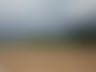 Eine unheimliche Begegnung 