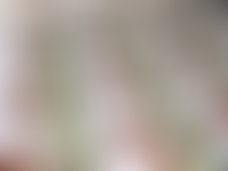 Strut Cards Caulfield