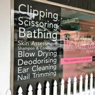 Window Signage & Decals Cronulla
