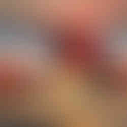 Wall Signage Canberra