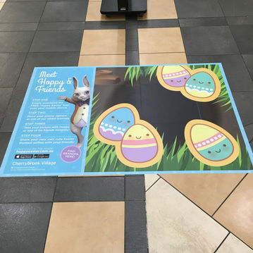 Floor Decals (Cherrybrook Village)