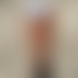 Corflute Ballard Sign