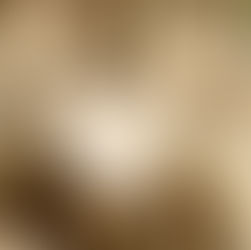 Curzon Hall, Banquet Room (Marsfield, NSW)