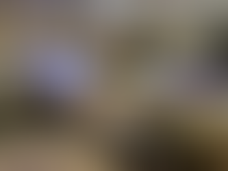 Le Montage Deanah's View Room