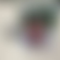 A4 Strut Card Printing Adelaide