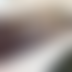 Corflute Signs Nowra