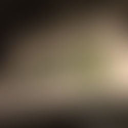 ACP Signs (Sydney, NSW)