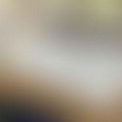 White Gloss Dance Floor at Bowral