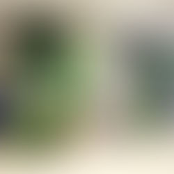 Hoarding Signage (St Mary's Village)