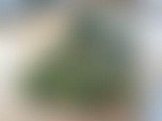 Digitally Printed Foam Board