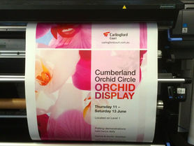 Poster Printing Carlingford