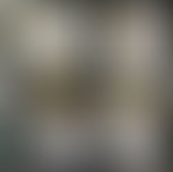 Pull Up Banner Stands Sydney