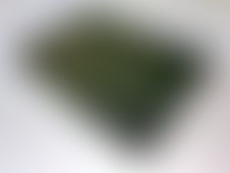 Beef Tallow Skincare