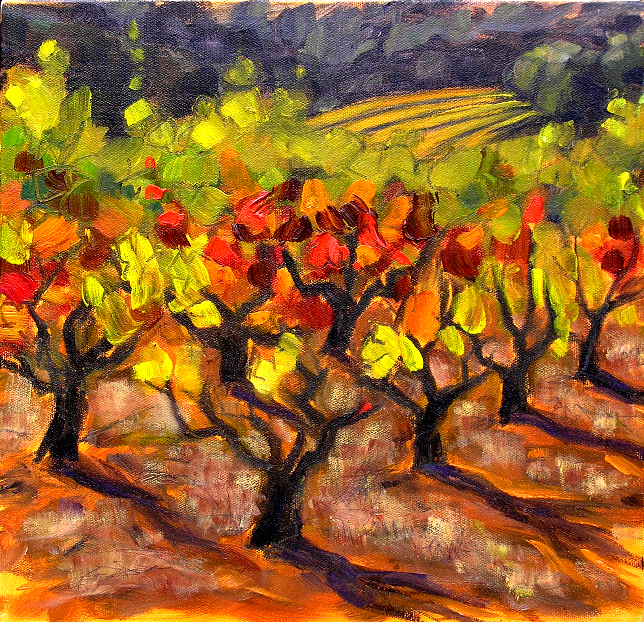 Fall Vineyard