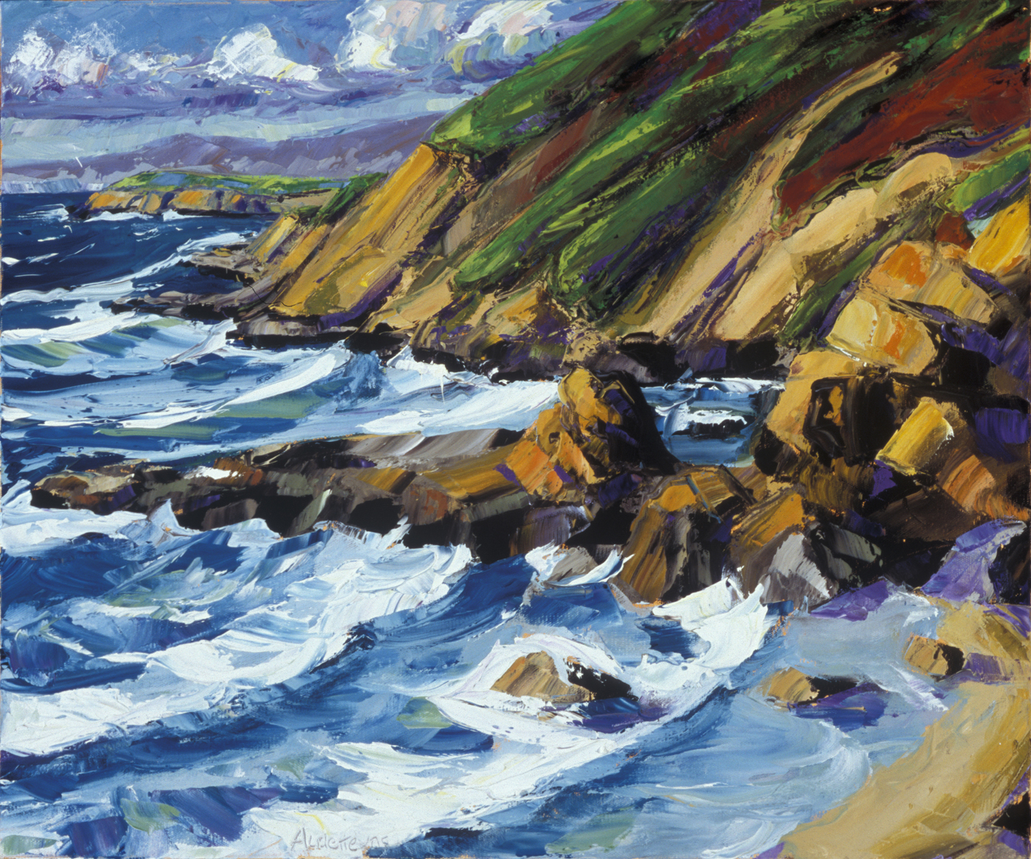 Bodega Head Beach