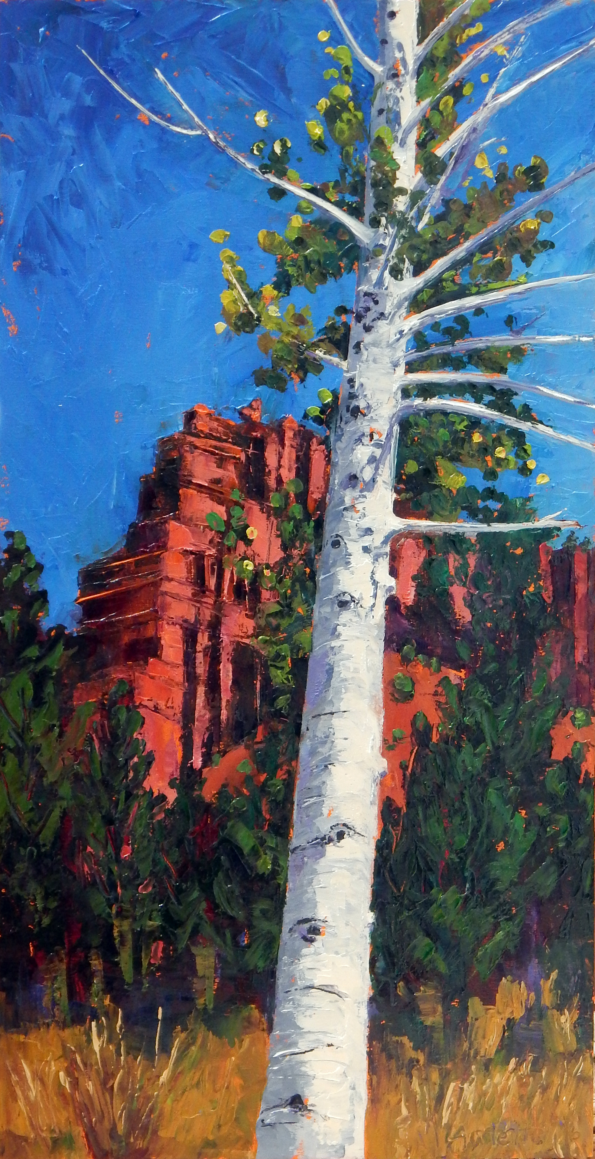 Aspen at Seven Castles