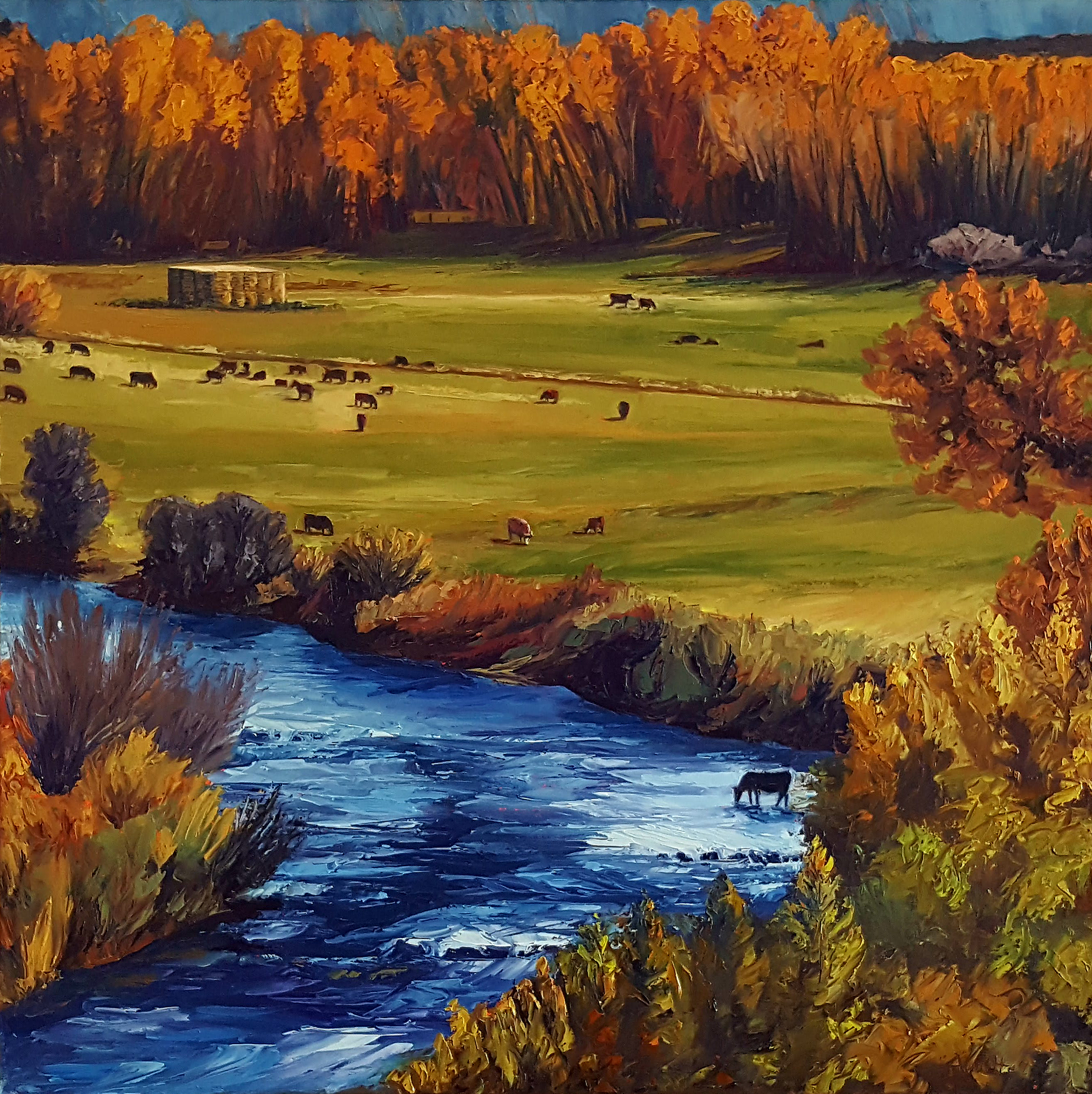 High Country Ranch