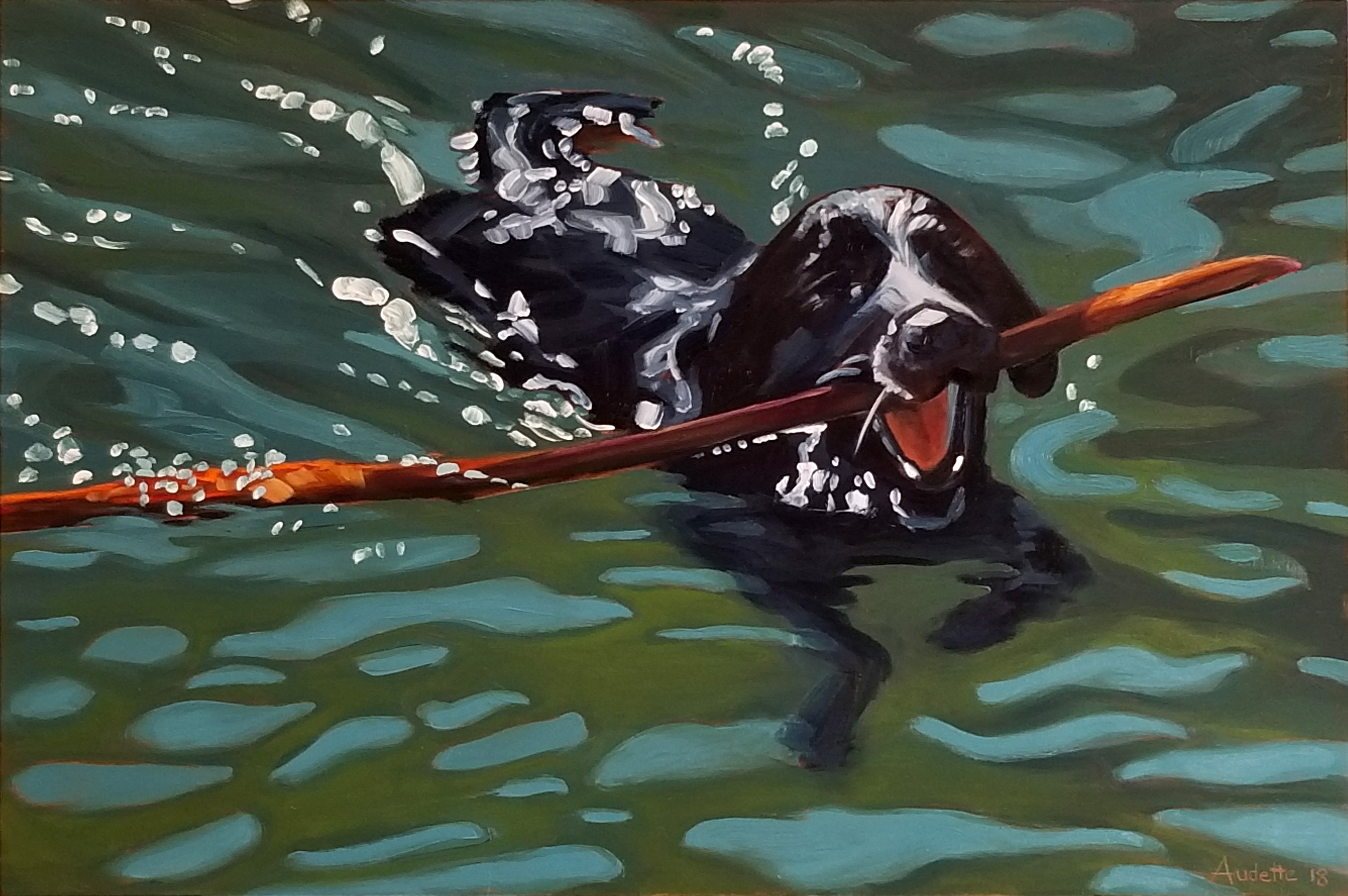 Zachary Swimming