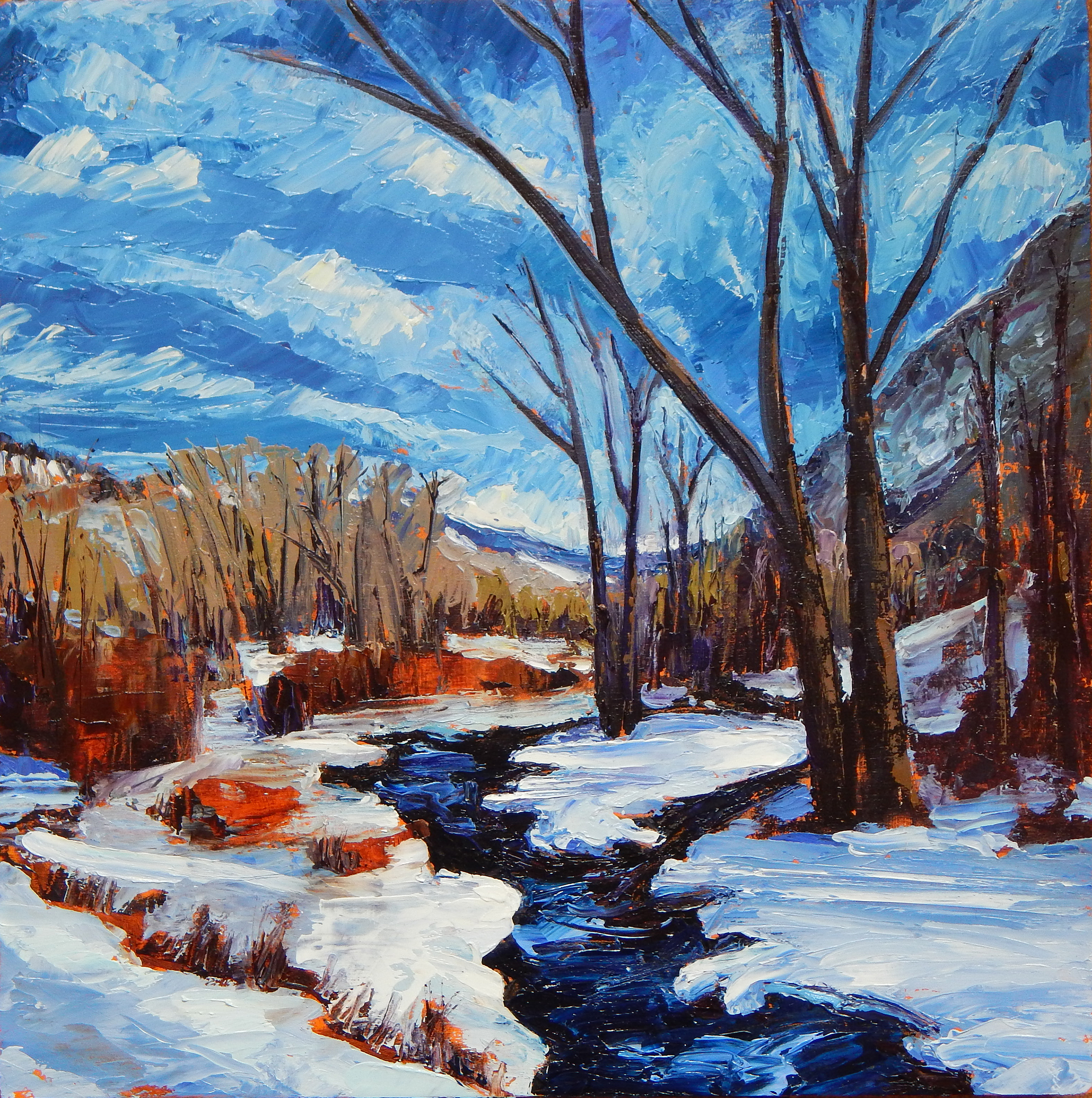 Frying Pan River Winter
