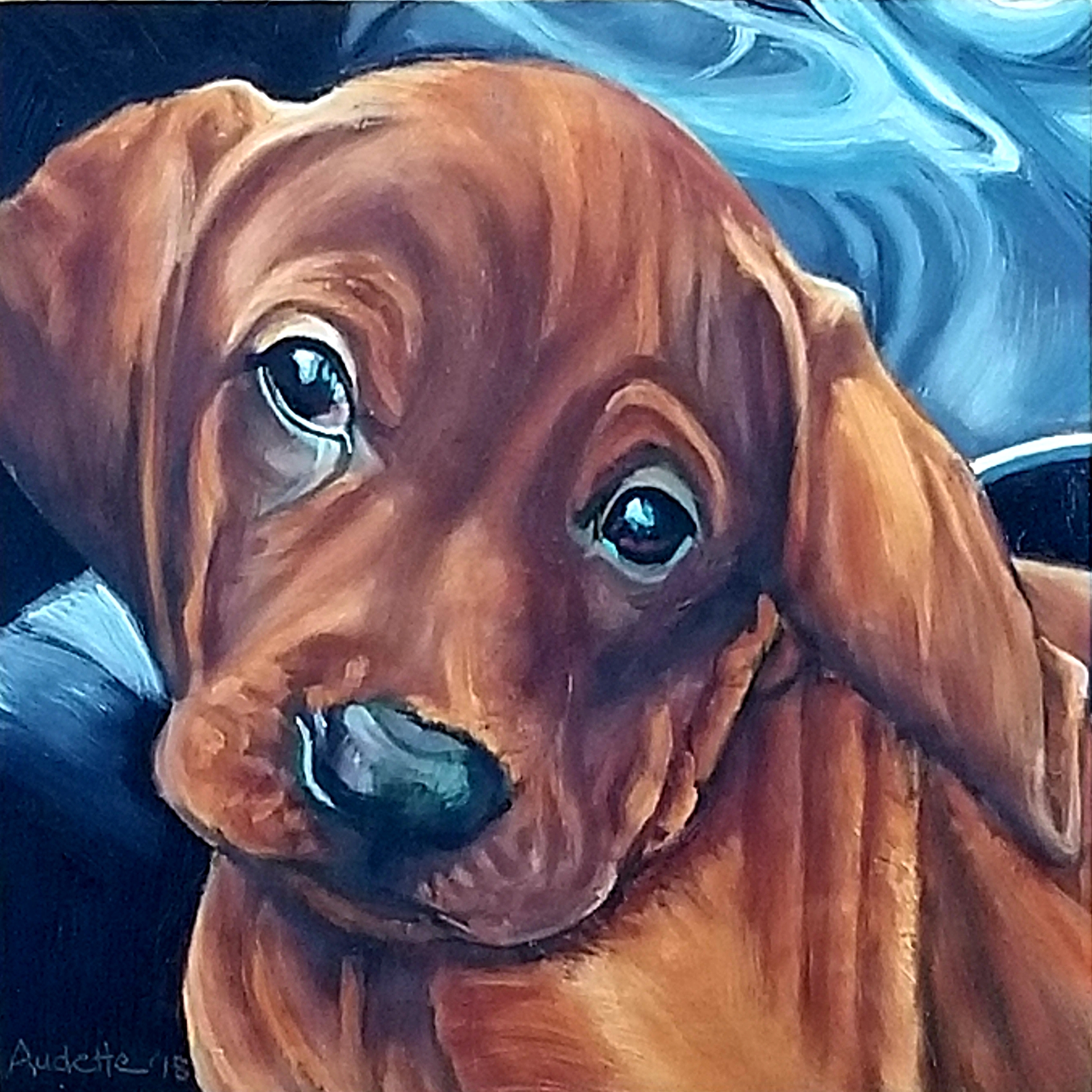 Jasper the Puppy