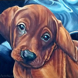 Jasper the Puppy