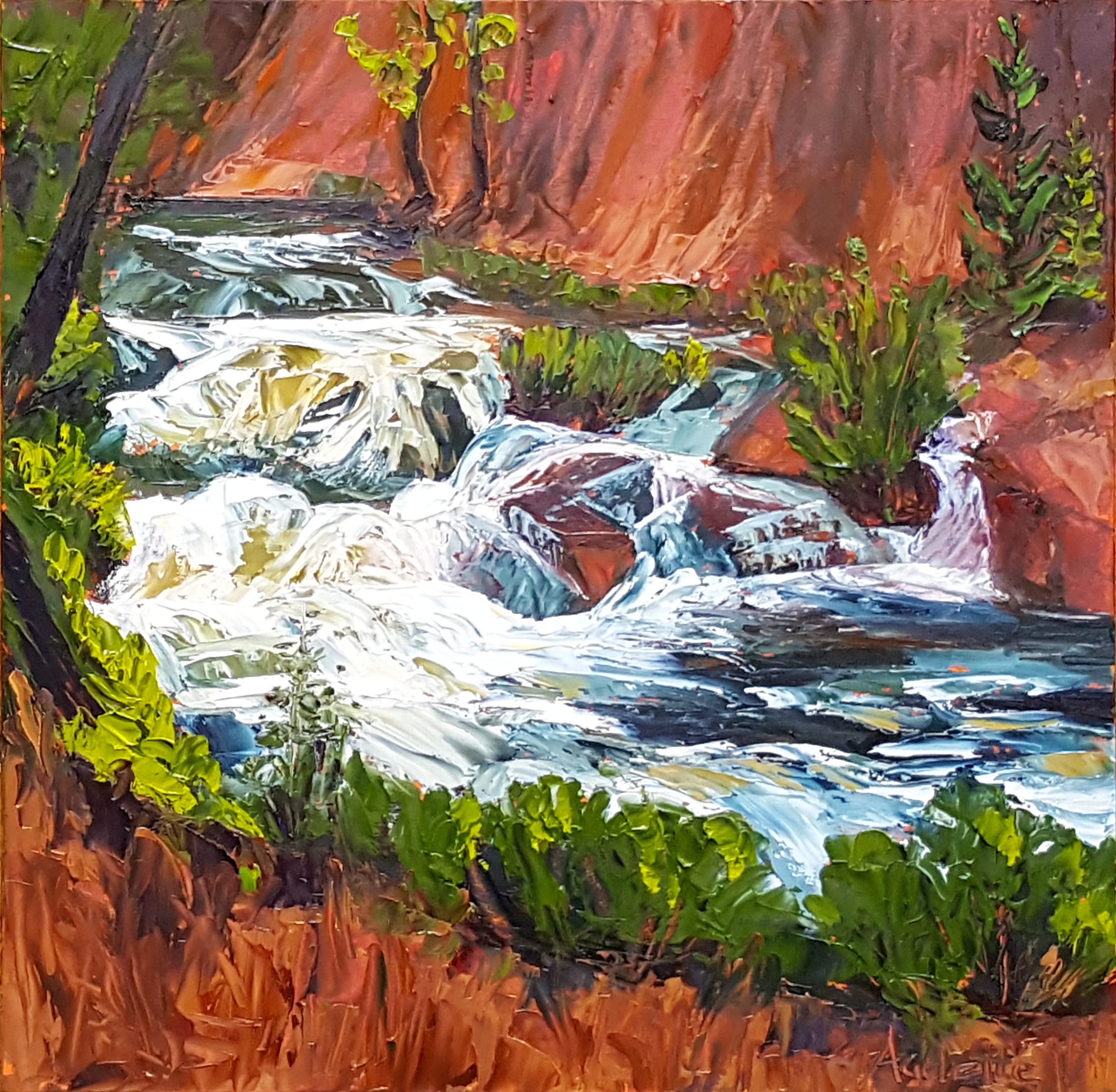 Frying Pan River Rapids