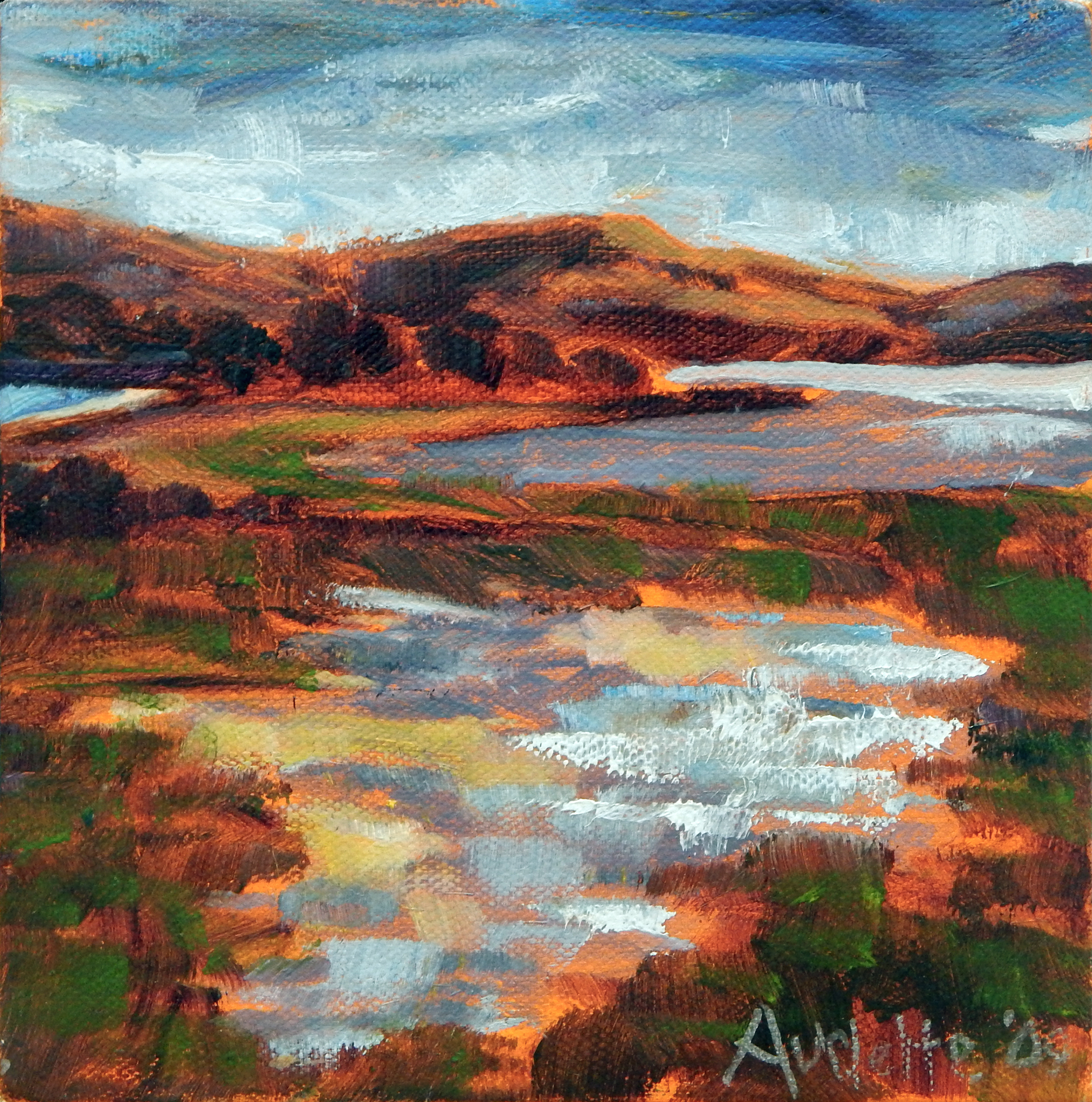 Bodega Bay