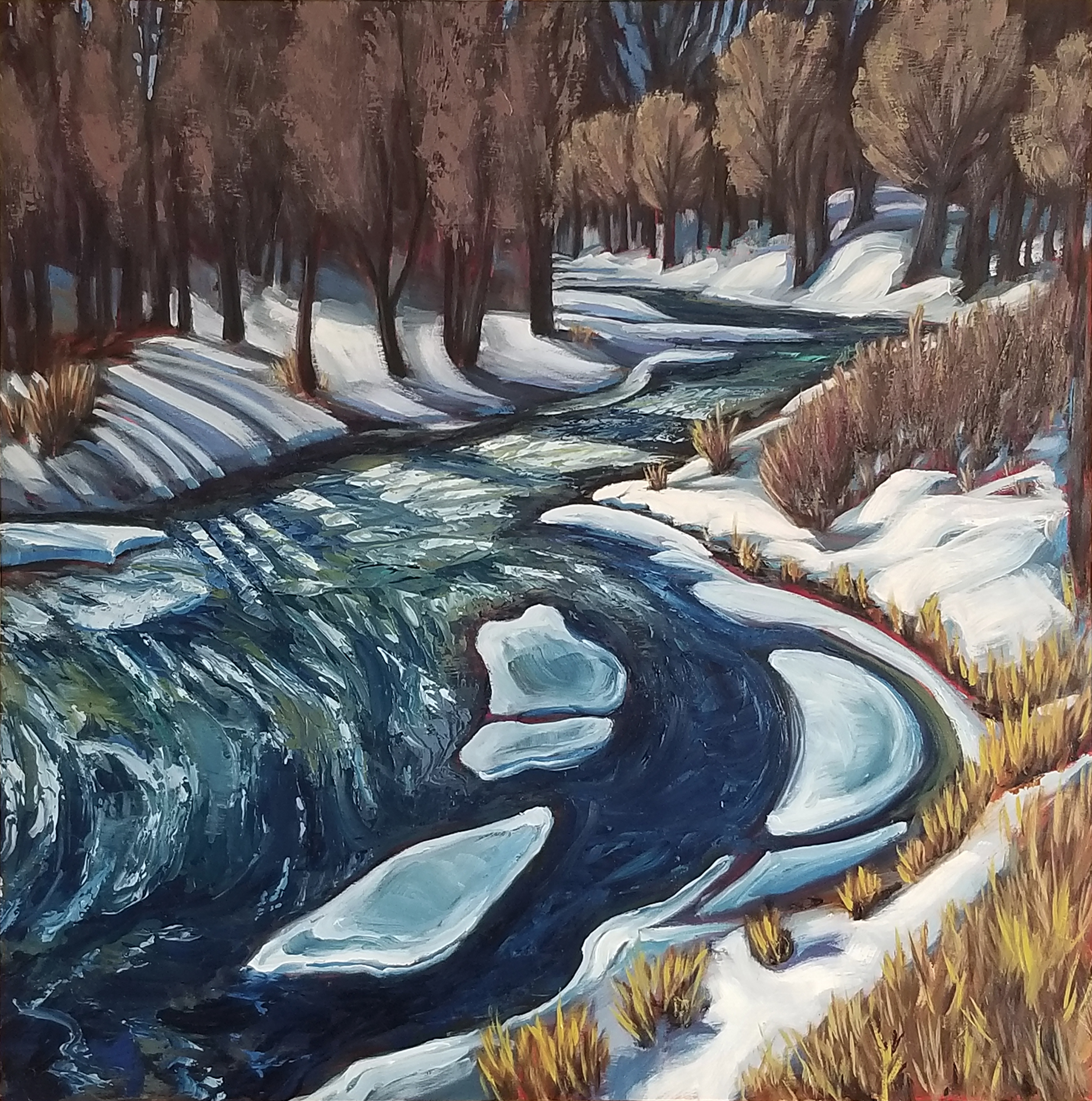 Winter Shadows