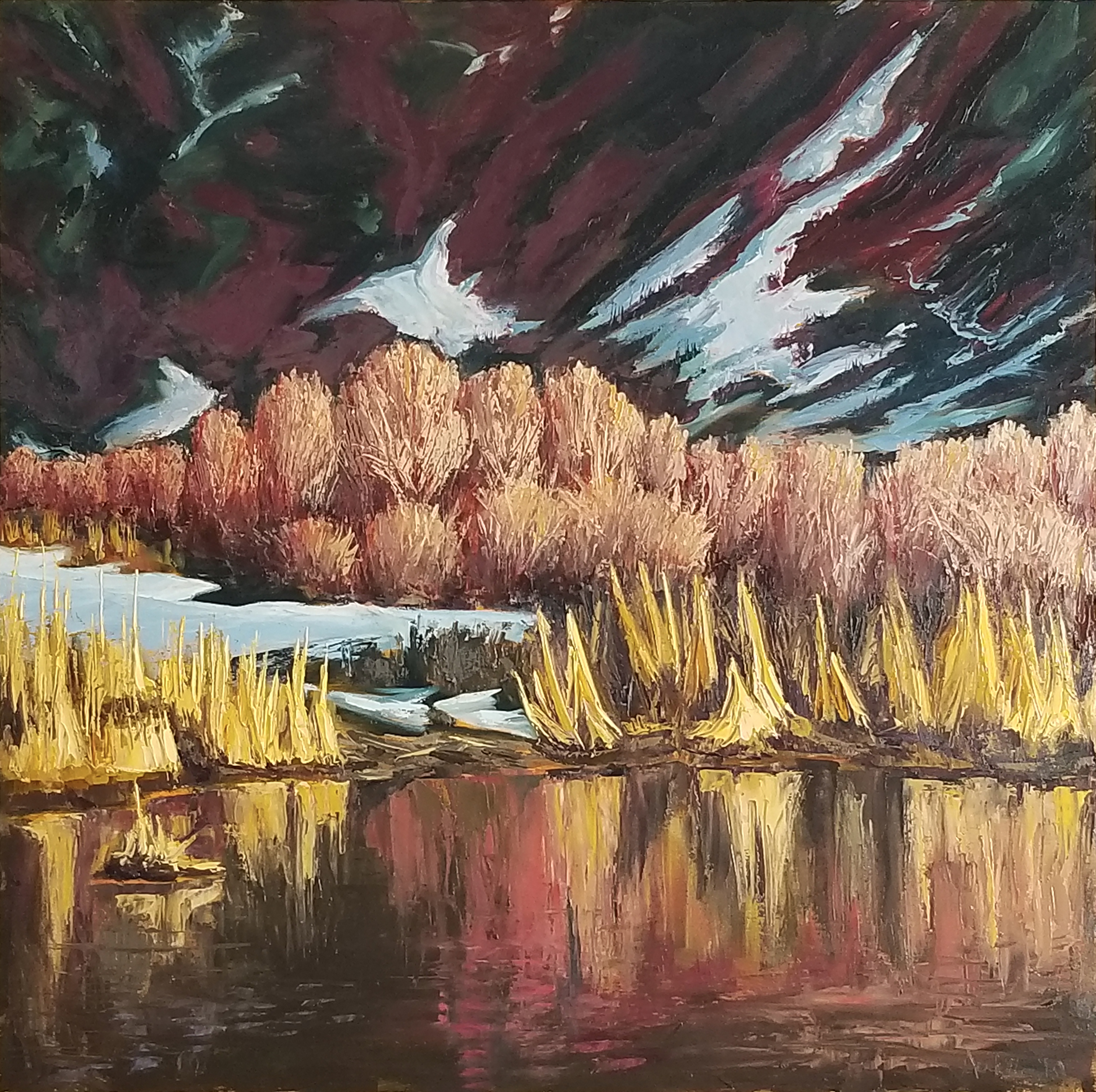 Winter Grasses