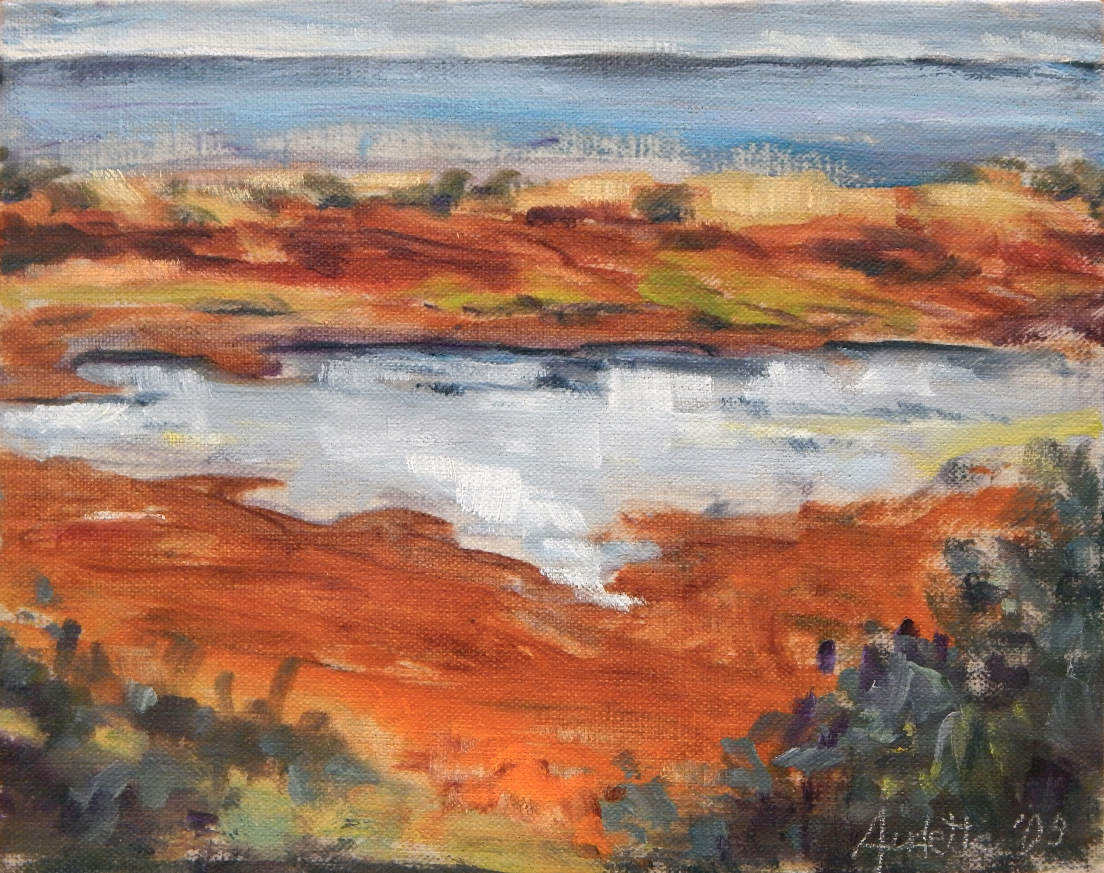 Bodega Marsh