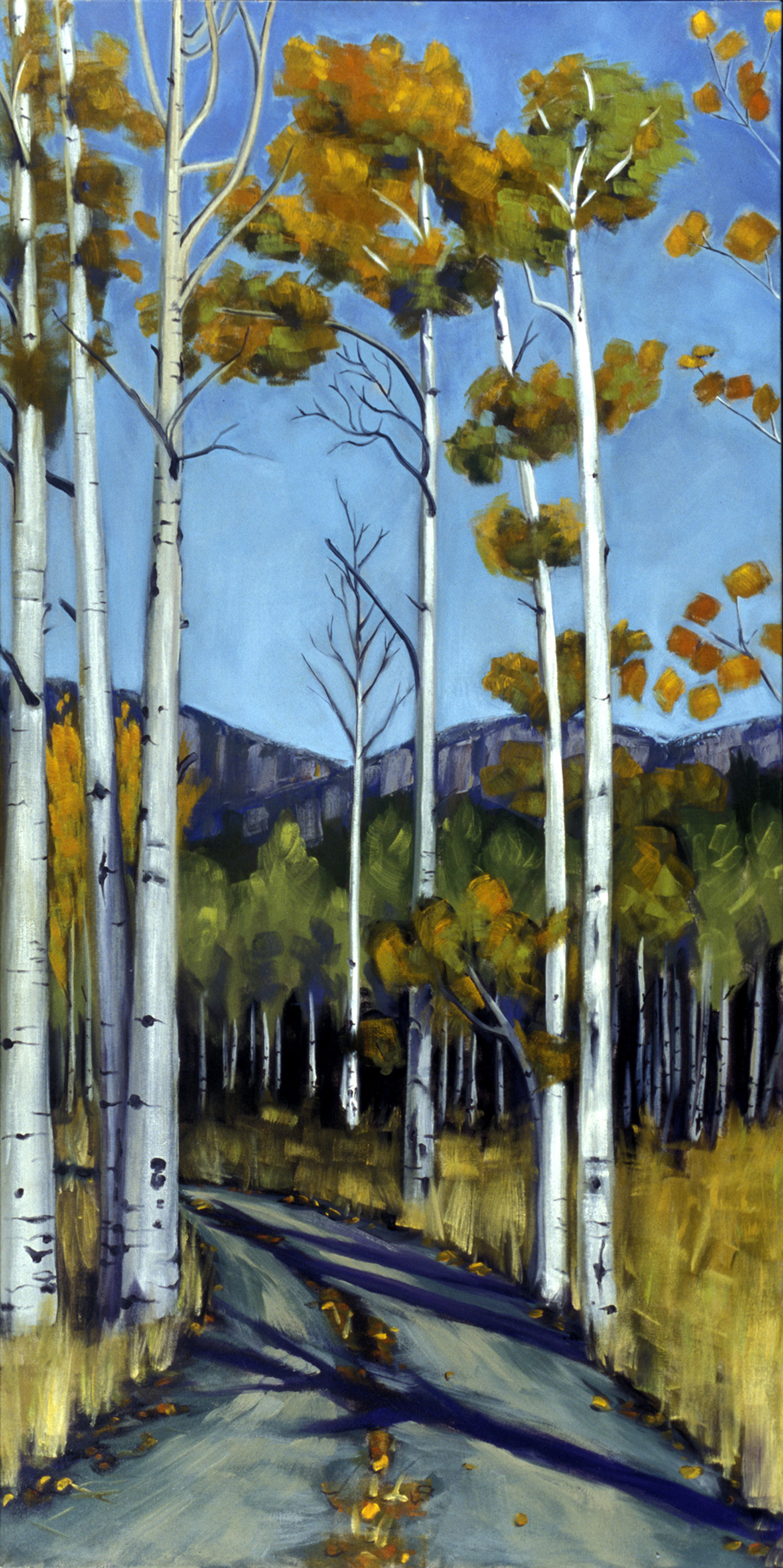 Elk Meadows View
