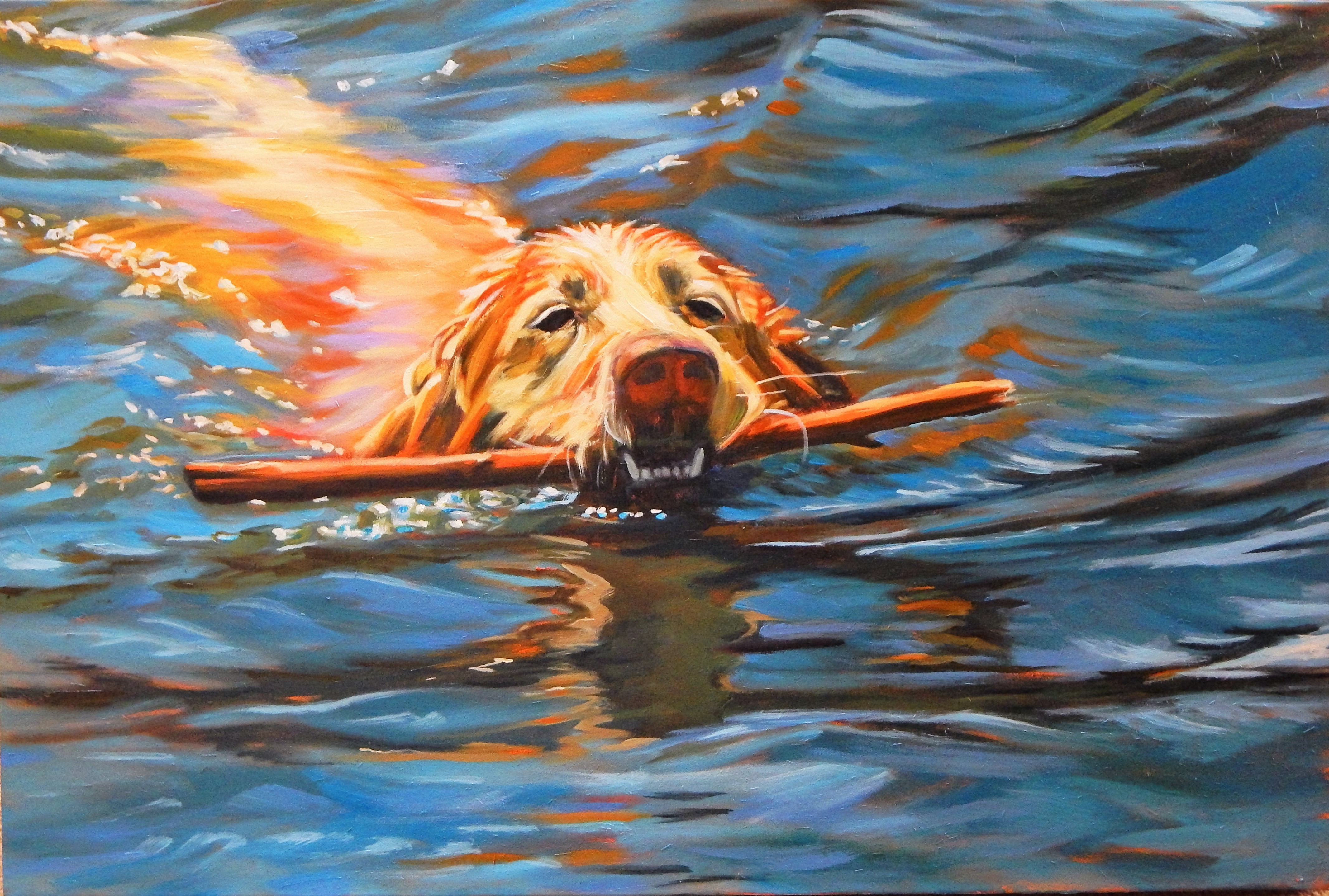 Fetching the Stick
