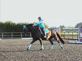 Horse Rider Give and Retake of reins