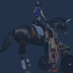 Onya equi_20251112_165945_0000.png