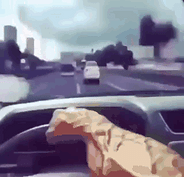 chad-driver-chad.gif