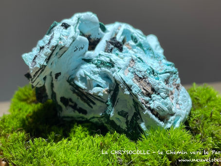 La CHRYSOCOLLE ...